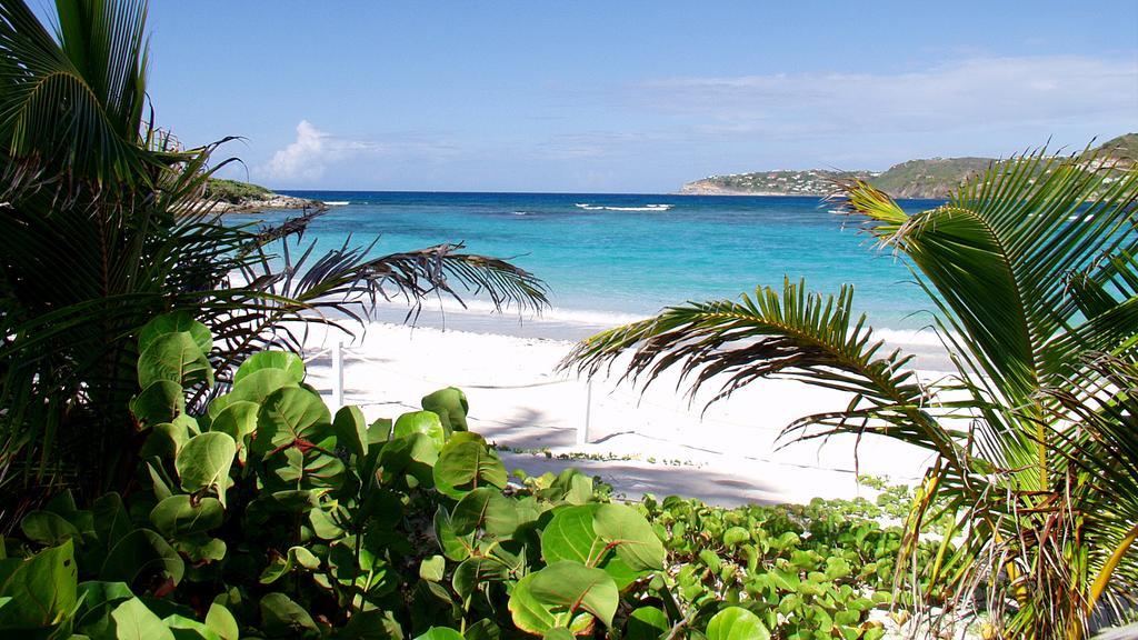 Tropical Hotel St Barth Gustavia Exteriér fotografie